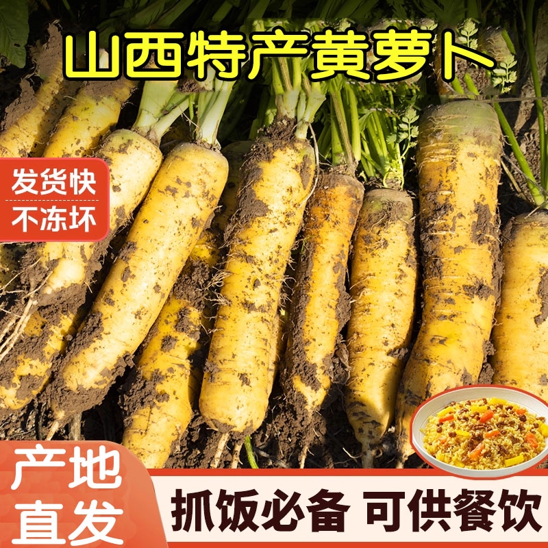 山西黄萝卜手抓饭配料黄色胡萝卜餐饮直供新货农家自种糖心胡萝卜