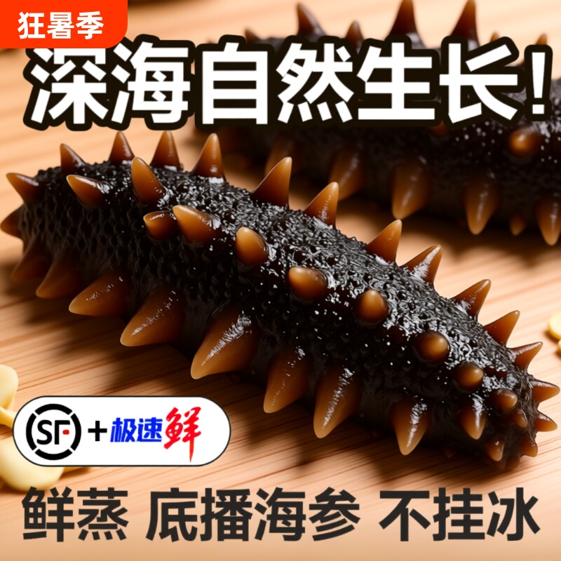 海参即食大连1斤2斤克冷冻海刺参500g水产滋补泡发年货深海食物 - 实物图