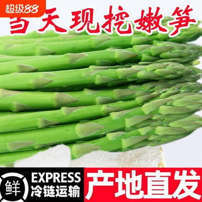 新鲜芦笋5斤芦笋产地直销现挖嫩青笋绿当季蔬菜龙须菜芦笋现挖