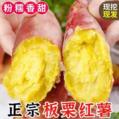 陕西板栗红薯新鲜粉糯红薯干面粉甜沙地黄心番薯地瓜5斤软糯