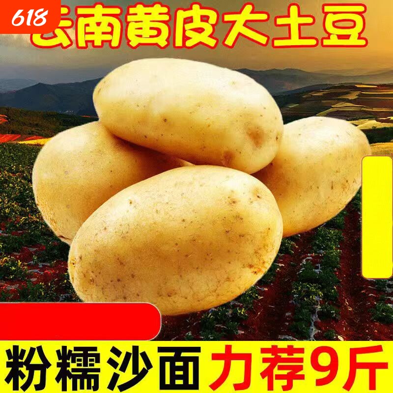 云南土豆新鲜黄心10斤包邮黄心马铃薯蔬菜洋芋整箱土豆