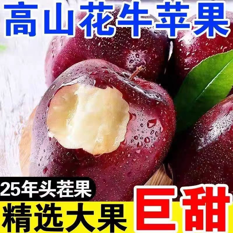 正宗甘肃花牛苹果天水中心产区新鲜水果整箱当季红蛇面苹果