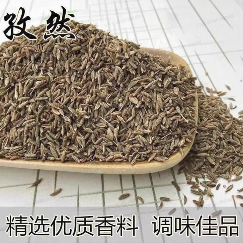 孜然粒孜然颗粒烤肉料新疆特产纯孜然粉撒料香料批面发烧烤调卤料