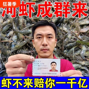 河虾饵料饲料鱼食池塘沟渠淡水捕虾诱虾四季专用神器药强力诱食剂