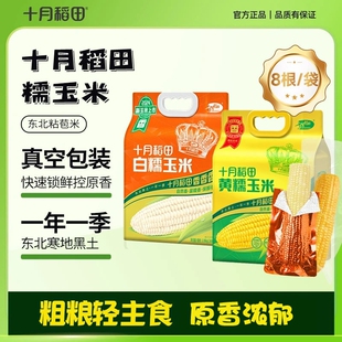 十月稻田粗粮轻食黄糯玉米香甜糯棒香甜糯东北黏拉丝苞米早餐食材