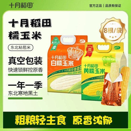 十月稻田黄糯玉米软糯拉丝