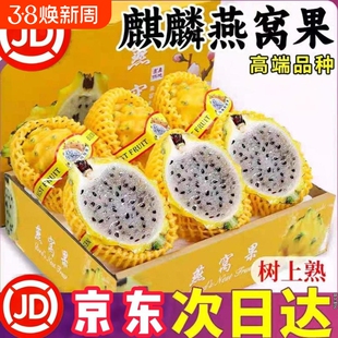 顺丰京东麒麟燕窝果冰糖彩箱正宗海南大果罕见黄皮火龙果礼盒装