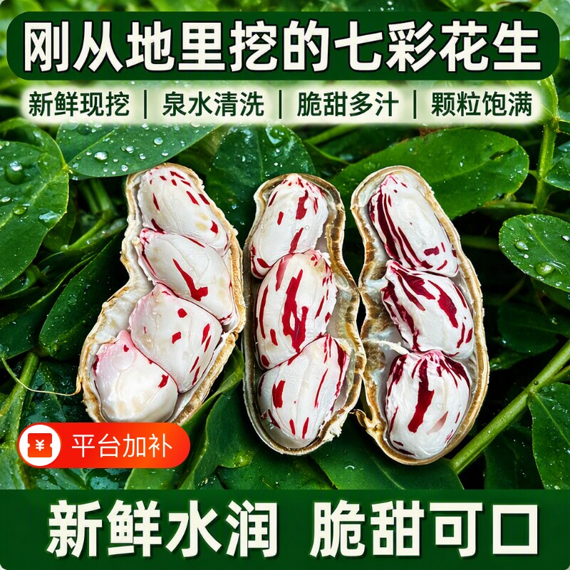 2026年新鲜现挖七彩花生云南特产五彩花生富硒黑花生新鲜湿花生