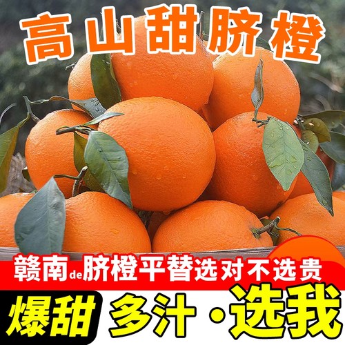 正宗赣南甜脐橙新鲜赣州橙子江西甜橙水果鲜橙子4.5斤果园现摘