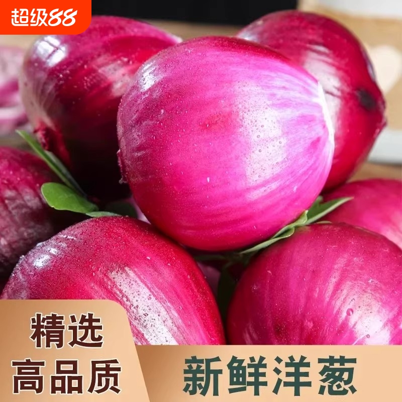 不辣紫皮洋葱5斤|超1000次加购