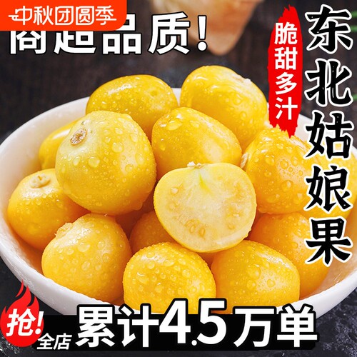 正宗东北姑娘果5斤特产大果菇娘果水果新鲜整箱当季东北灯笼果黄