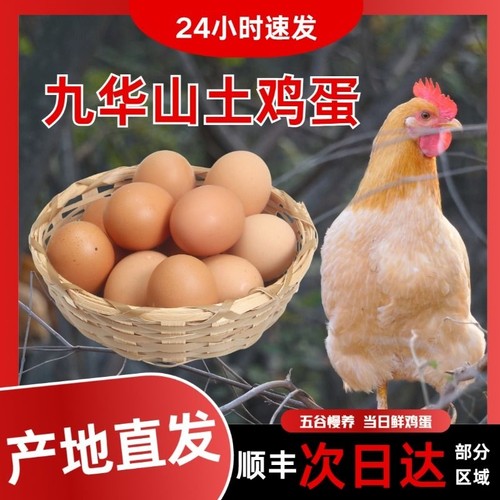 皖南土鸡蛋九华山高山散养土鸡蛋竹林蛋50枚产地直发顺丰包邮