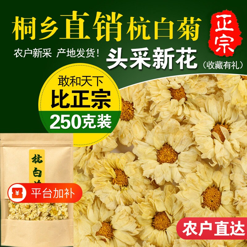 杭白菊特级正宗桐乡去火清热菊花茶官方旗舰店正品无硫袋装精品