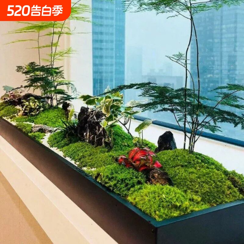 铁艺造景花盆长方形桌面景观绿植苔藓托盘花器室内装饰不锈钢花槽