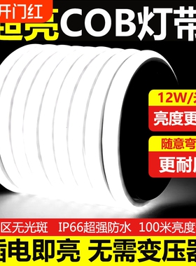 超亮led灯带220v自粘线形灯家用客厅吊顶户外防水工程COB软灯条