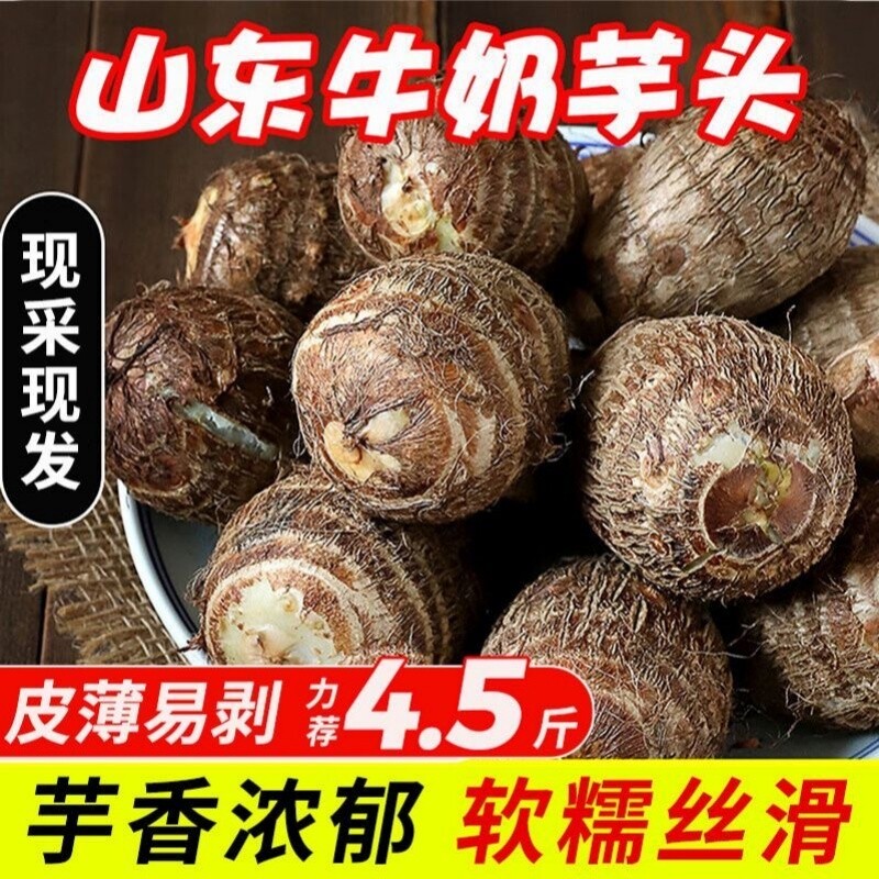 山东新鲜牛奶小芋头当季早餐轻卡农家自种新鲜现挖奶香芋芋头蔬菜