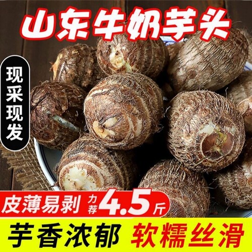 牛奶小芋头早餐轻卡新鲜现挖奶香
