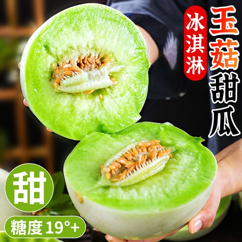 冰淇淋玉菇甜瓜丨5A品质软糯爆甜