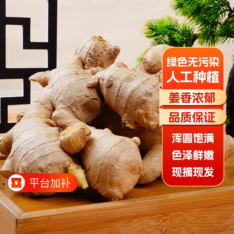 生姜老姜山东大姜10斤风干黄姜月子姜风干姜块新鲜食用蔬菜母