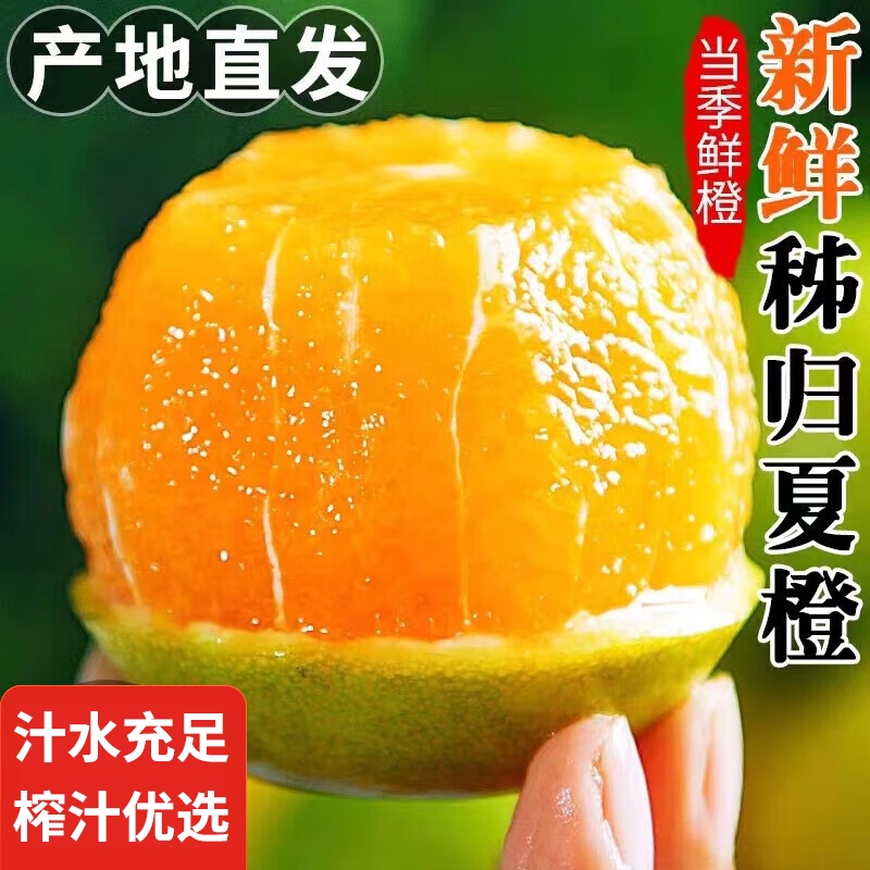 秭归夏橙新鲜当季时令水果手剥酸甜三峡橙子整箱脐橙榨汁专用多汁