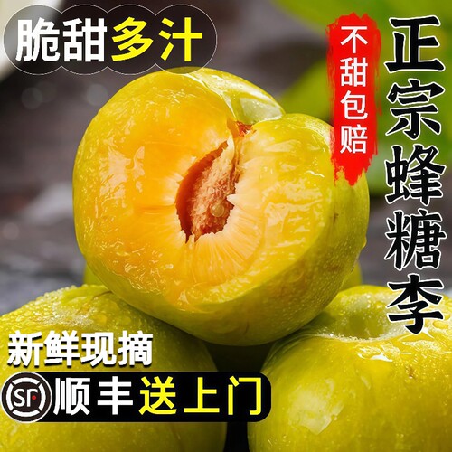 脆甜四川蜂糖李大果|千人加购
