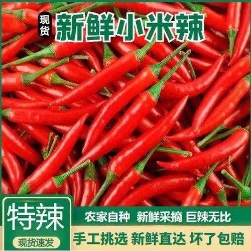 小米辣椒新鲜特辣小米椒朝天椒超辣薄皮土红辣椒指天椒尖椒批发