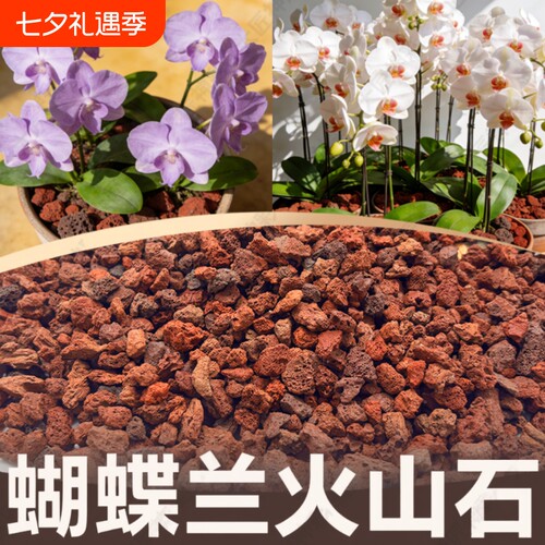 火山石小颗粒养花蝴蝶兰花专用多肉铺面石水培植物鱼缸底砂石造景
