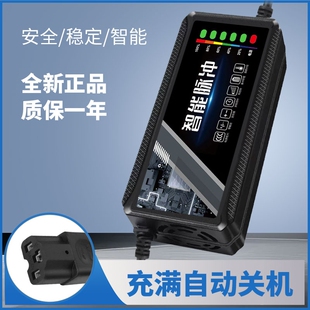 电动车电瓶充电器48v12ah60v20a72v适用于爱玛雅迪三轮铅酸石墨烯