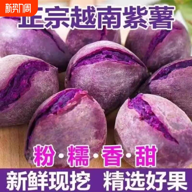 正宗小紫薯新鲜现挖农家圆紫薯粉糯香甜紫心板栗地瓜