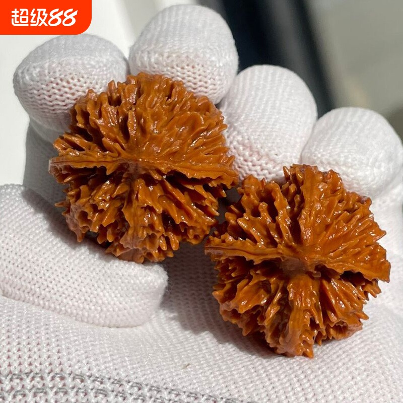 菊花大灯笼麻核桃型正配对好陕西秦岭文玩粗筋矮桩手把件元宝铁球