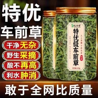 车前草野生中药材正品新鲜干货官方旗舰店正品泡水喝的酸降养生茶