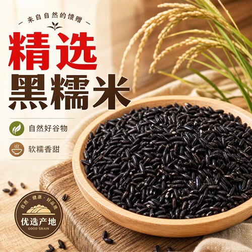 精选黑糯米正宗血糯米紫米新米农家五谷杂粮黏米粘米包粽子专用
