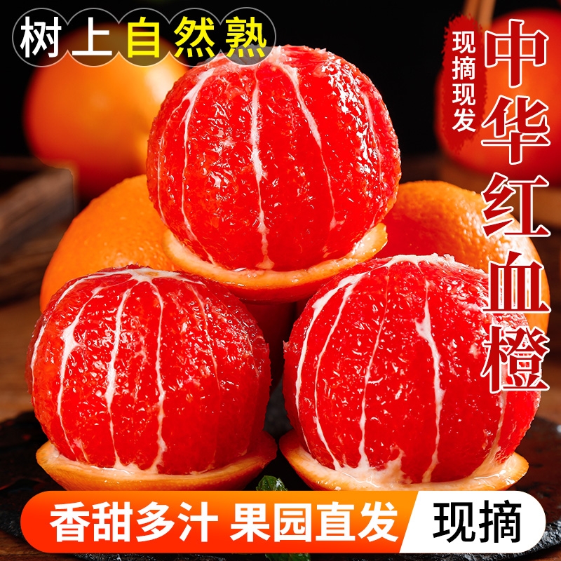 正宗中华红血橙现摘现发顺丰包邮