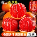 橙子秭归现摘中华红血橙新鲜孕妇水果湖北正宗红橙产地直发果园
