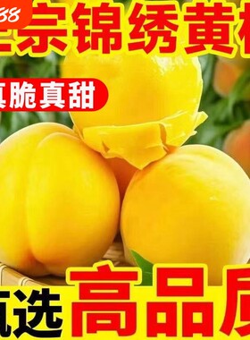 黄桃新鲜水果当季整箱黄金蜜锦绣黄毛桃应季孕妇水果桃子鲜甜多汁