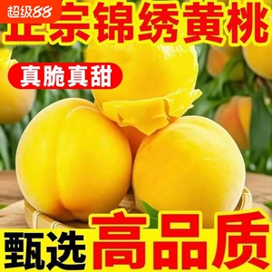 黄桃新鲜水果当季整箱黄金蜜锦绣黄毛桃应季孕妇水果桃子鲜甜多汁