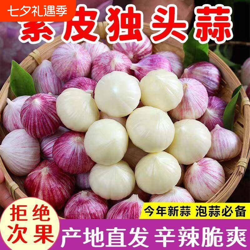 2026当季现挖紫皮独头蒜