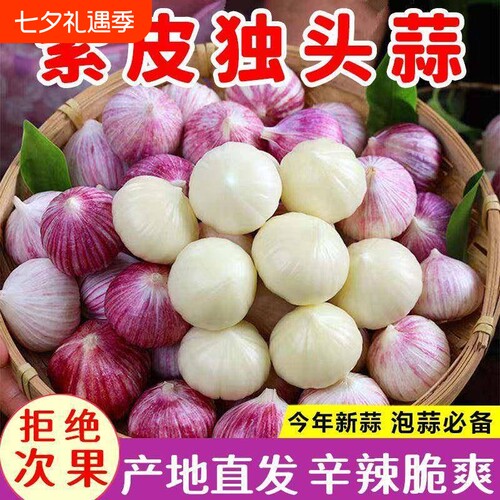 2026当季现挖紫皮独头蒜