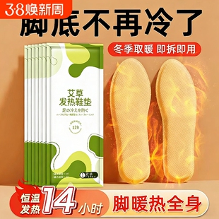 艾草自发热鞋垫女暖足贴宝宝热帖男保暖脚底冬季暖宝宝自加热充电