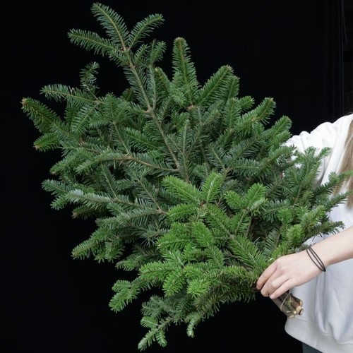 新鲜国产诺贝松圣诞树圣诞花环装饰松树材料圣诞节松枝水培非进口