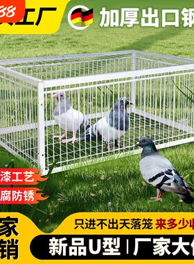 天落笼捕天落神器只进不出收鸽器户外加密粗防锈自动连续进鸽子笼