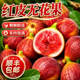 【顺丰包邮】红皮无花果新鲜水果鲜果孕妇波姬红紫皮无花果树熟