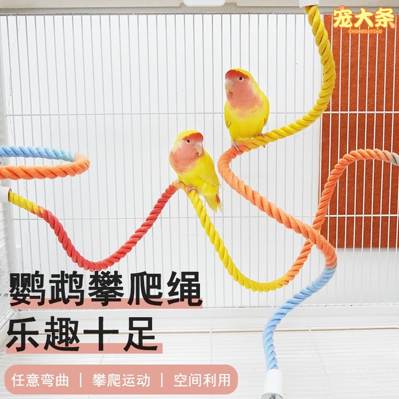 鹦鹉攀爬绳吸盘旋转款玻璃站杆攀爬解闷玩具虎皮玄凤牡丹专用站杆