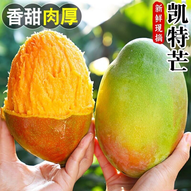 现摘攀枝花凯特芒果新鲜大果当季水果青皮芒果香甜核小肉厚多汁9