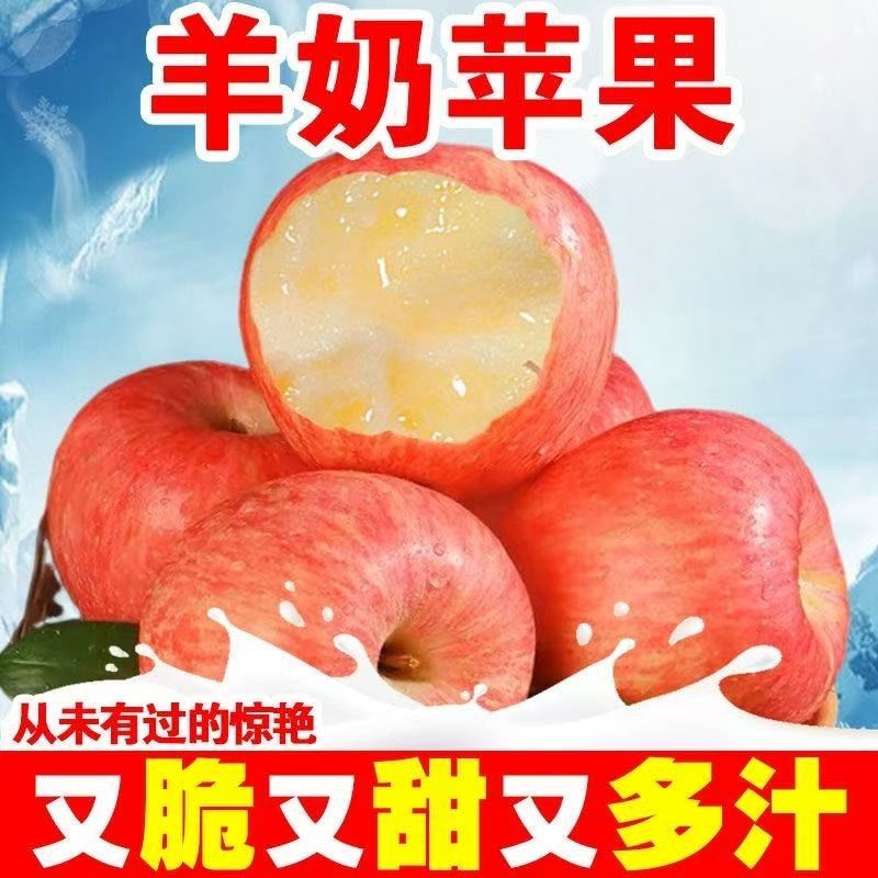 【脆甜】新鲜正宗山西万荣羊奶苹果应季酥脆红富士孕妇整箱水果