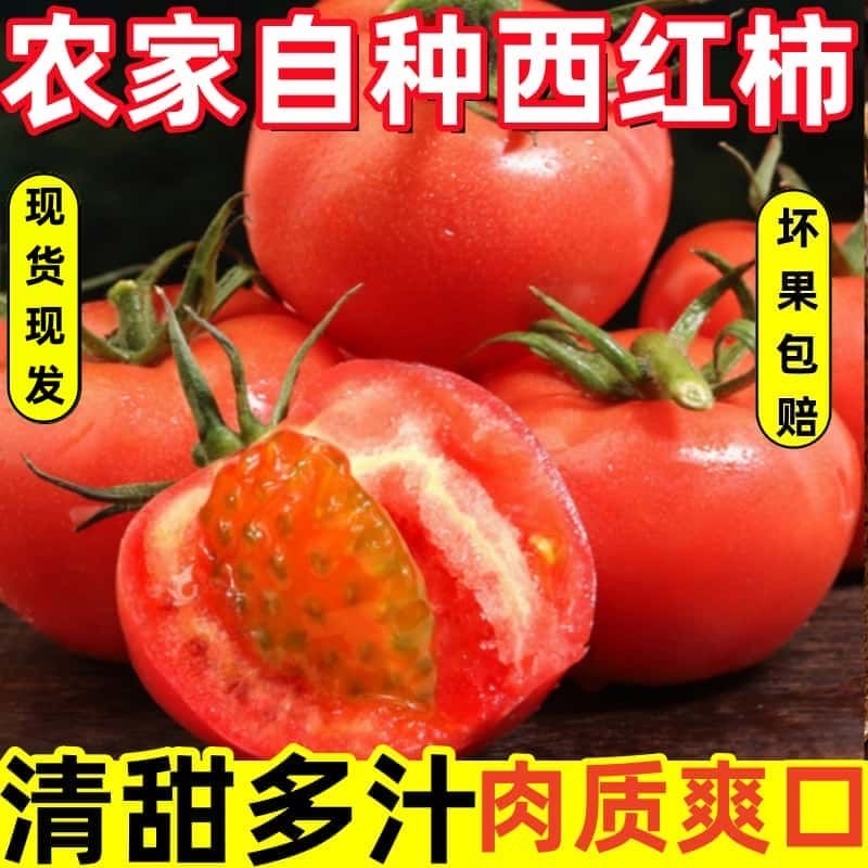 正宗自然熟沙西红柿5斤