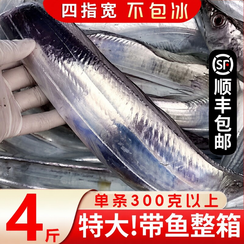 舟山带鱼特大东海南海雷达整条冷冻新鲜整箱海钓刀鱼深海海捕水产