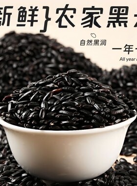 农家黑米糙米煮粥煮饭五谷杂粮粗粮无染色甜品自种糯米优质半斤