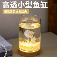斗魚專用創(chuàng)意小魚缸夜燈辦公室