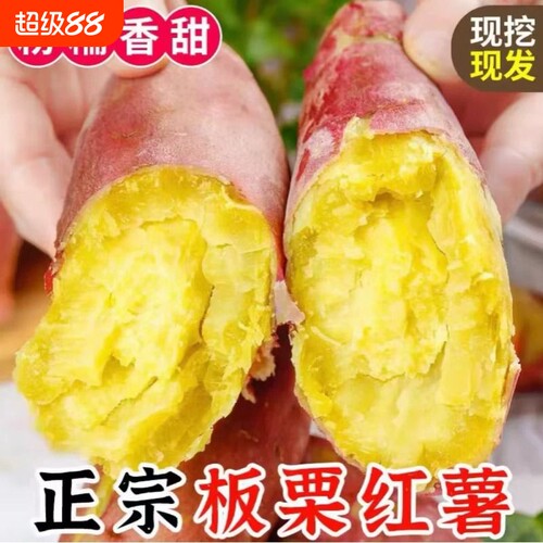 新鲜地瓜9斤装|超3000次加购